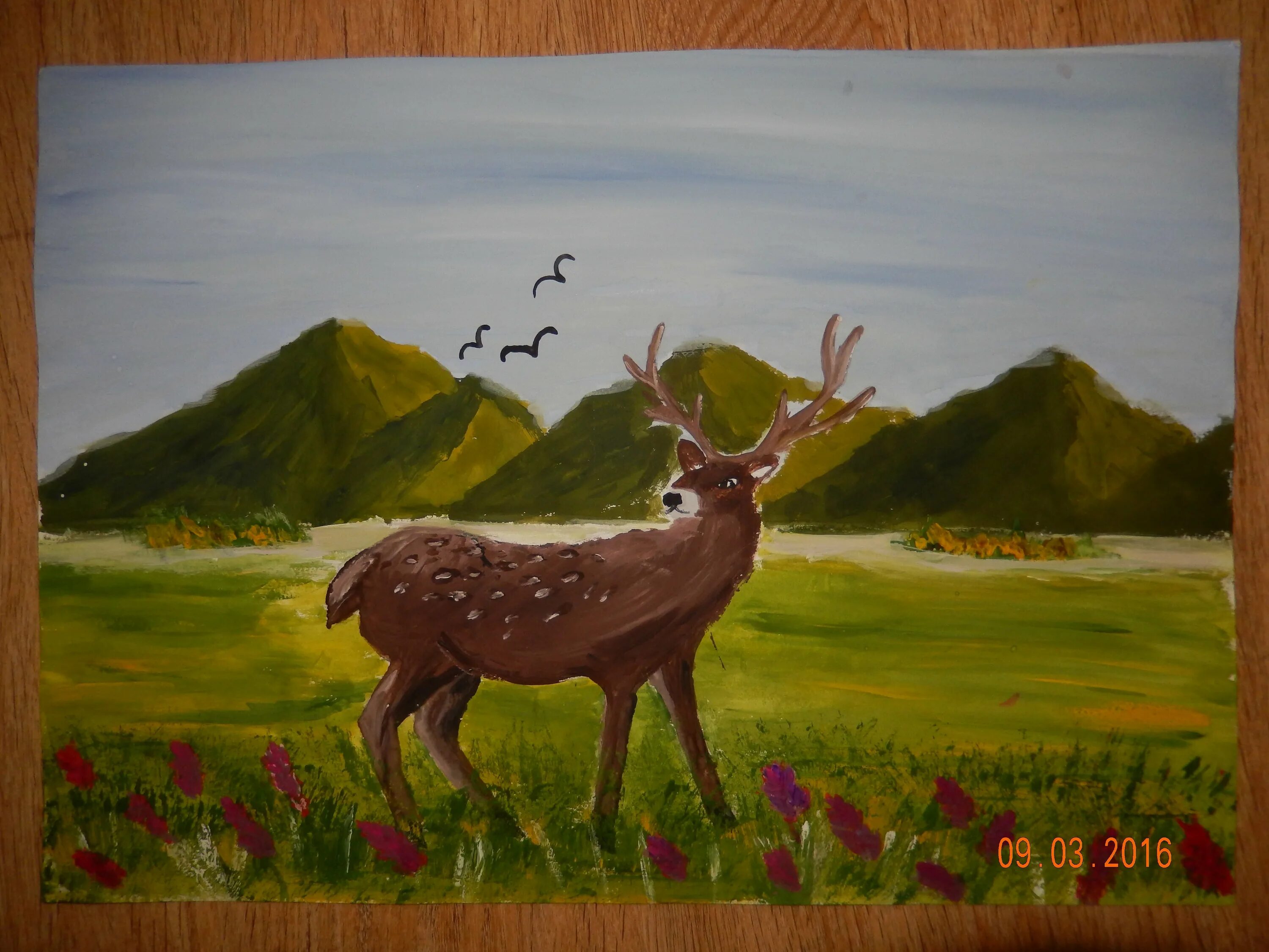 Животные родного края рисунок. Животные родного края рисунок. Рисунки заповедника детские. Заповедник рисунок. Животные родного края рисунок.