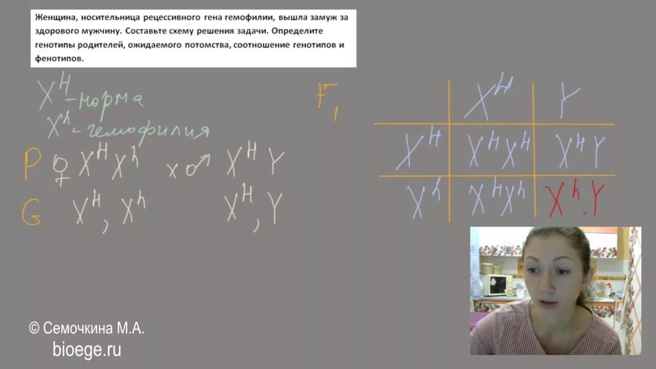 Женщина носительница рецессивного Гена гемофилии. Здоровая женщина, носительница Гена гемофилии?. Определите генотип женщины- носительницы гемофилии:. Задача на гемофилию с решением.