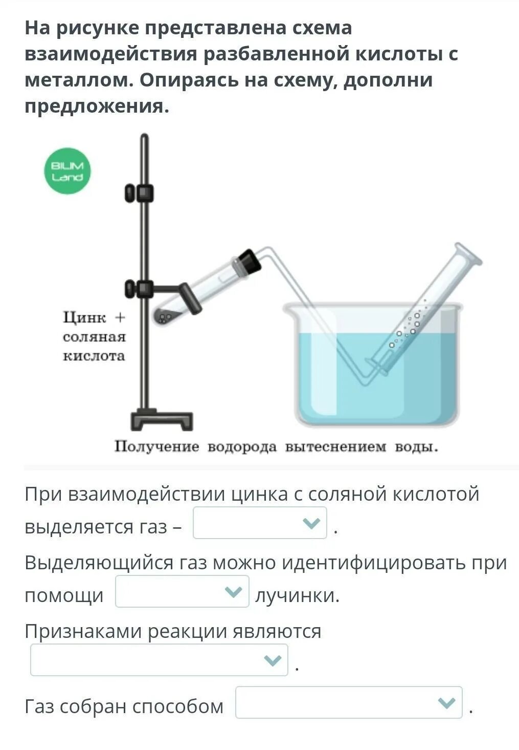 Как разводить кислоту с водой. Реакция взаимодействия цинка с соляной кислотой. Взаимодействие цинка с соляной кислотой. Взаимодействие цинка с соляной кислотой опыт. Взаимодействие цинка с раствором соляной кислоты.