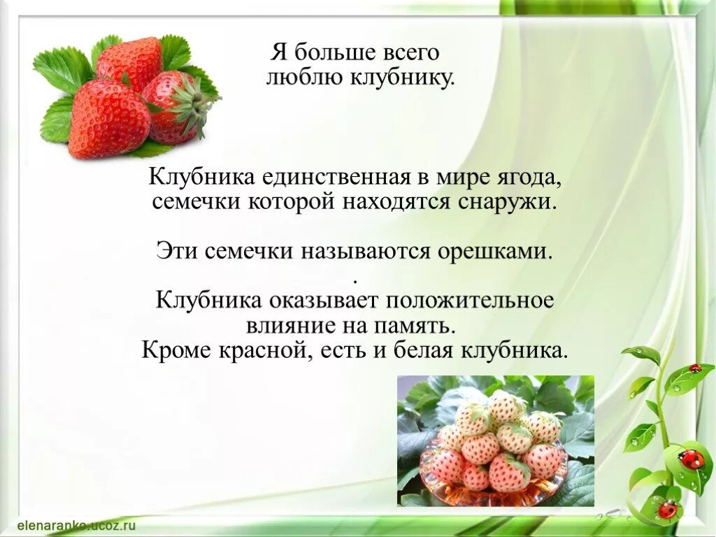 Рассказ про землянику. Загадка про землянику. Рассказ о клубнике. Клубника краткое описание. Ягодка характеристика