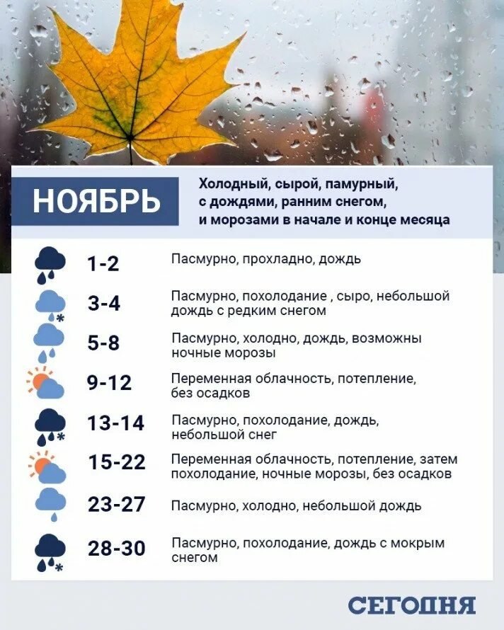 Что может быть в ноябре. Дни чего в ноябре. погода 14 октября. какая погода была 14 октября. на этот месяц ноября какая погода.