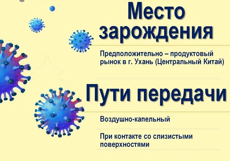 Главное о коронавирусе за 20 февраля. Коронавирусной инфекции. Памятка коронавирус. Презентация на тему коронавирусная инфекция. Осторожно коронавирус.