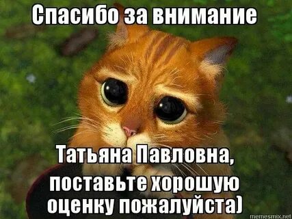 1 оценка спасибо 1