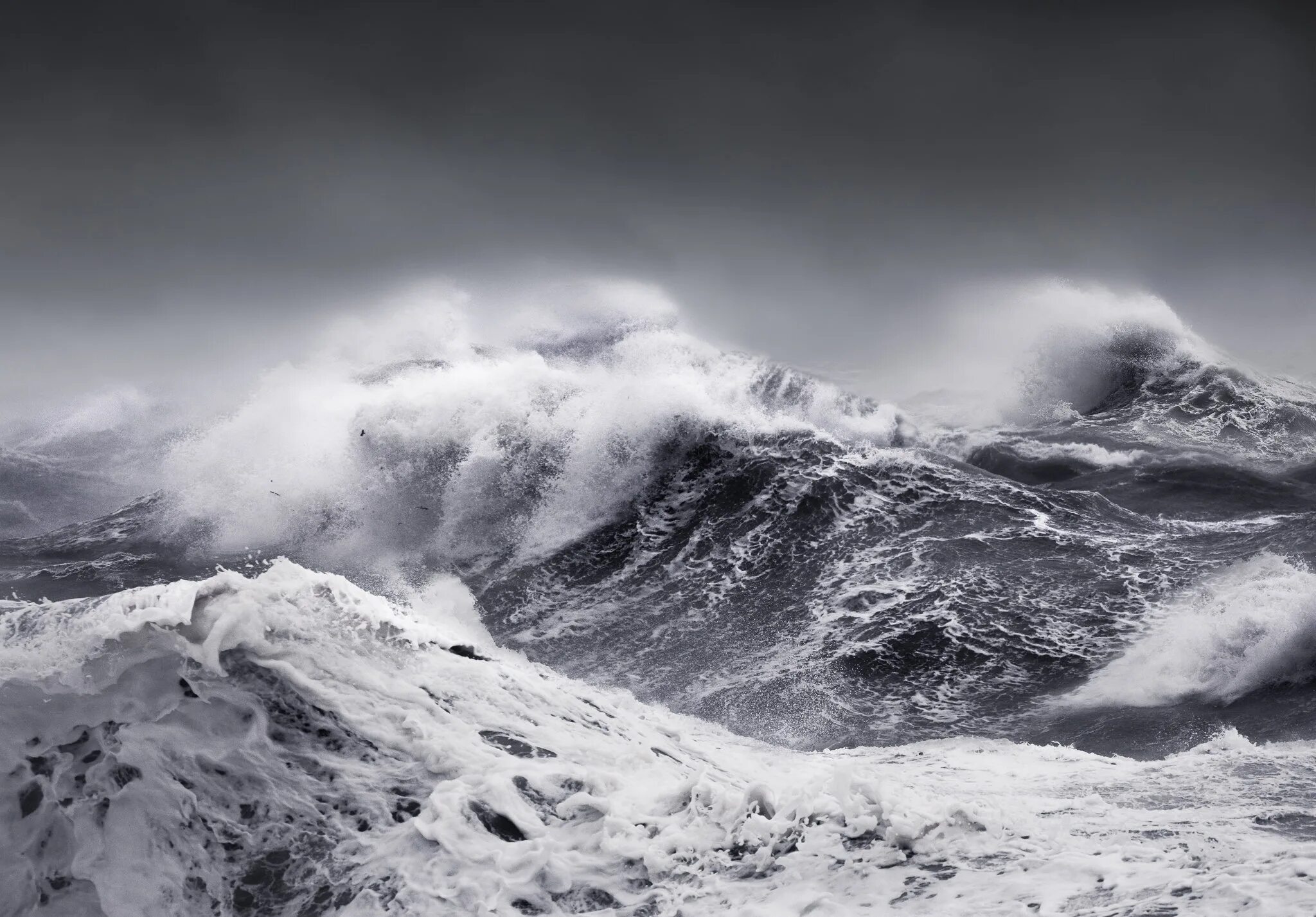 Шторм укажи род. Северный Ледовитый океан шторм. Море шторм. Море, волны. Шторм в океане.