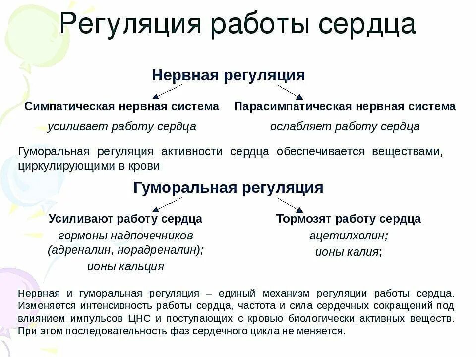Регуляция работы сердца. Гуморальная нервная деятельность. Регуляция работы сердца нервная и гуморальная. Нейрогуморальная регуляция. Нервные механизмы регуляции сердечной деятельности.