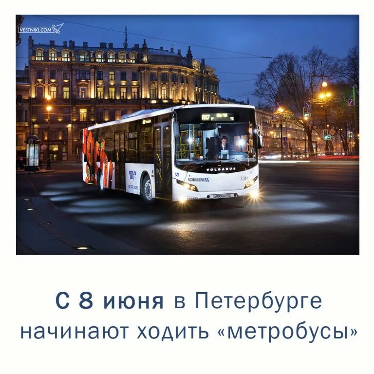 ночные автобусы санкт петербург. ночные автобусы санкт петербург. маршруты городского транспорта санкт-петербурга на карте. схема движения ночных автобусов в москве. схема автобусов спб.