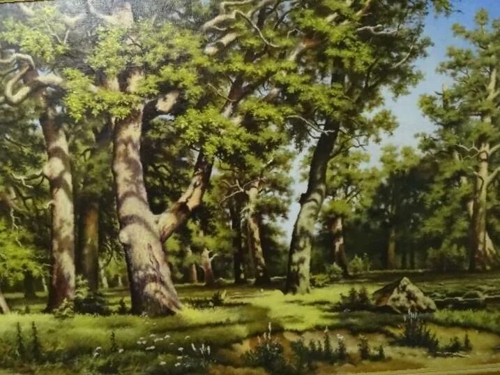 дубовой рощи 7. парк дубовая роща курск. дуб в умане украина. широколиственный лес дубрава.