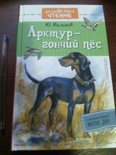 Собака пес читательский дневник. Собака пес читательский дневник. Собака пес читательский дневник. Иллюстрация к книге муму. Арктур гончий пес иллюстрации.