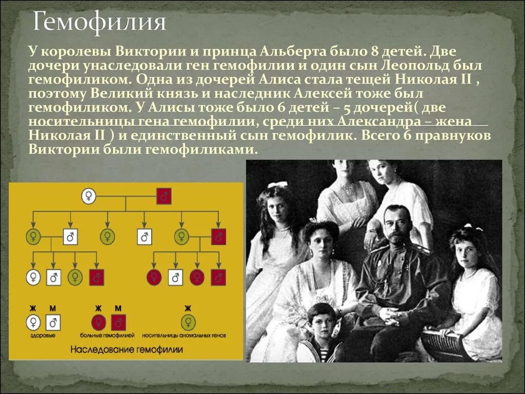 Гемофилия что это за болезнь простыми словами. Гемофилия болезнь королей. Гемофилия что это за болезнь простыми словами. Гемофилия клинически характеризуется:. Гемофилия это генетическое заболевание.