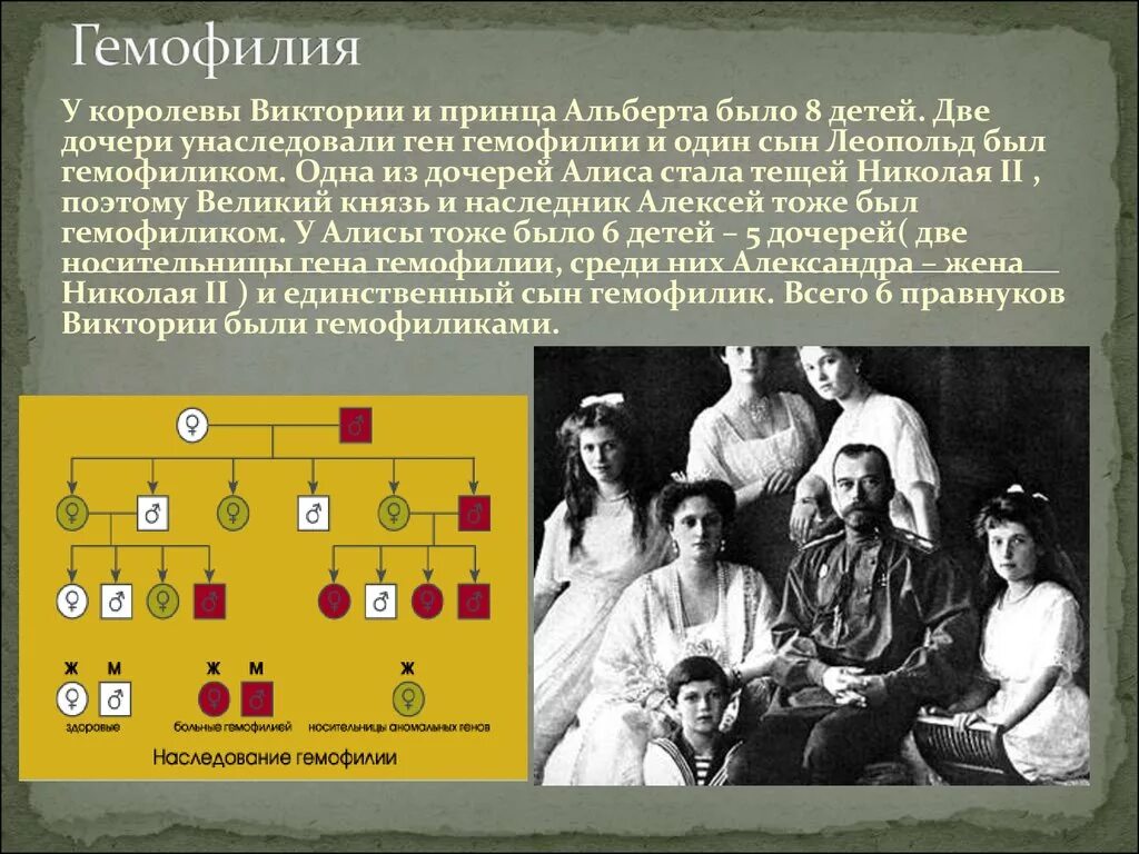 Заболевание несвертываемость крови. Заболевание гемофилия.