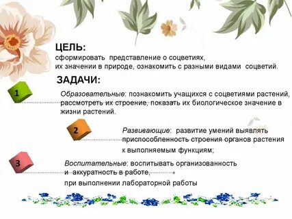 Лабораторная работа биология 6 класс соцветие вывод