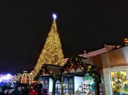 Горьковская елка
