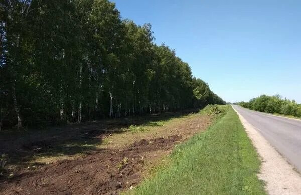 Хутор понуры. Расчистка дорожной полосы. Откуда мерить придорожную полосу. Придорожная полоса. Зона отвода жд путей.