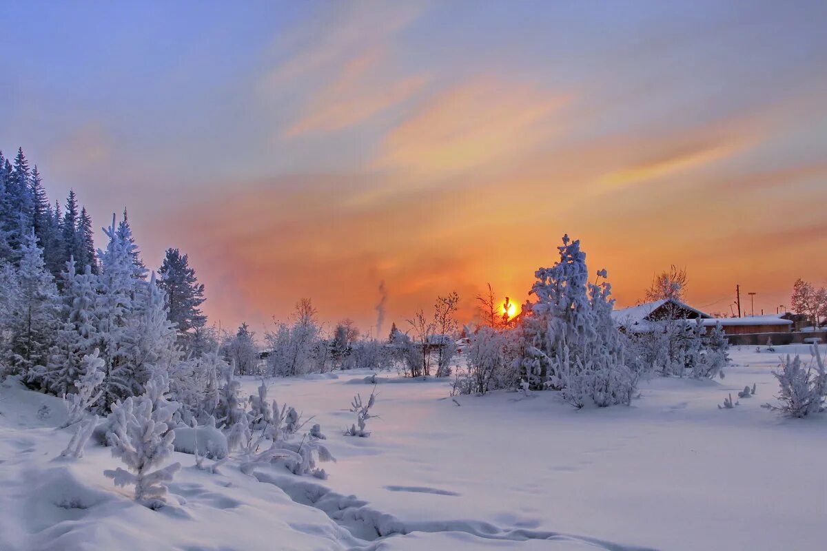 Январь природа. Солнечный зимний день. Январский пейзаж. Январь пейзаж. Что такое январь.