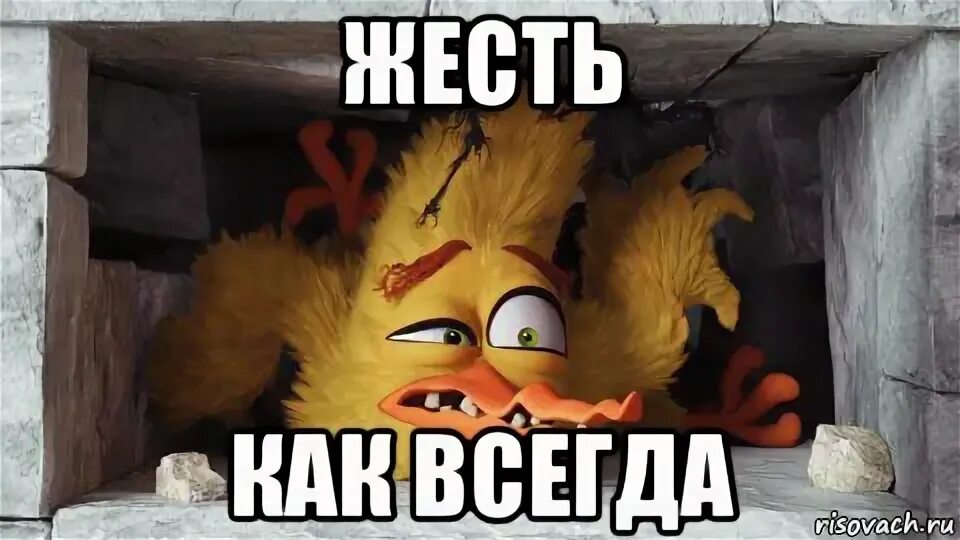 Мем жесть. Мемы жесть. жесть какая то angry birds.