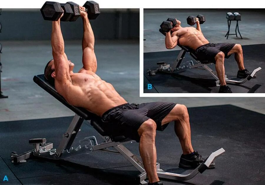 Жим гантелей. Жим лежа на наклонной скамье с резинками. Жим гантелей лежа нейтральным хватом. Жим гантелей под углом 30 градусов. Наклонный жим гантелей техника.