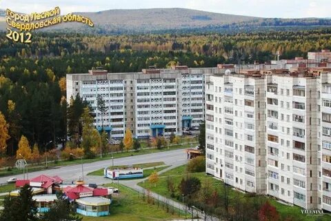 Го г лесной