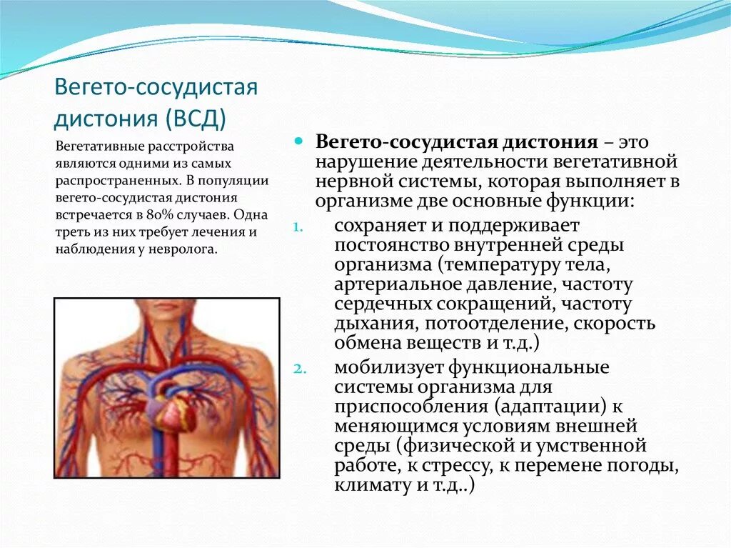 Сосудистая дистония. Вегетососудистая дистонич. Вегето-сосудистая дистония что это. Вегетососудистая астения.