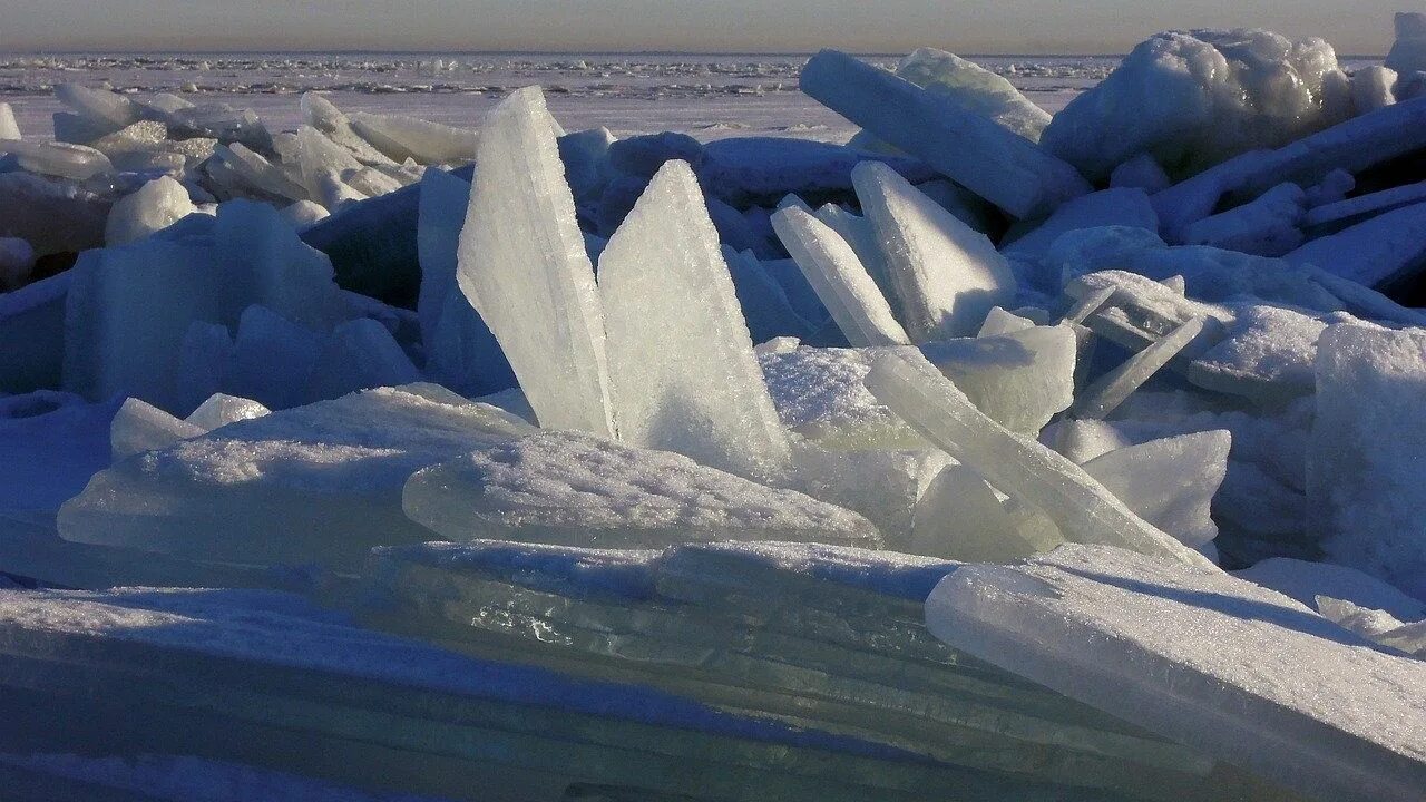 На льдах какого залива обитают белые. Ледяные Торосы на финском заливе. Ангара Торосы. Ледоход на Байкале. Торосы реки Лена.