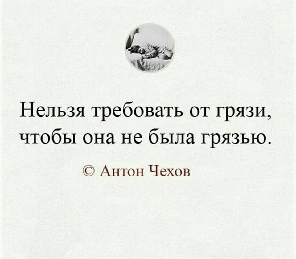 В очередной раз доказал. Цитаты про тварей. Афоризмы про тварь. Цитаты про гнилых людей. Цитаты про гнилых людей со смыслом.