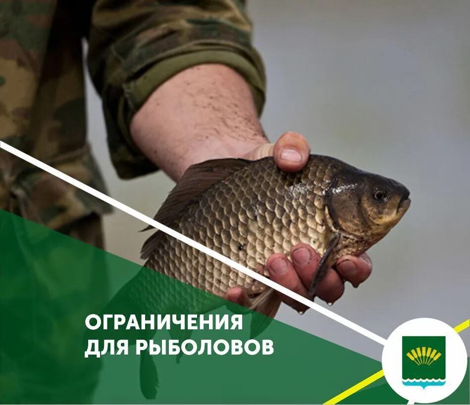 Рыбак Башкирии. Карта запрета рыбной ловли. Нерестовый запрет 2023 Башкортостан. Запрет на промышленное рыболовство.