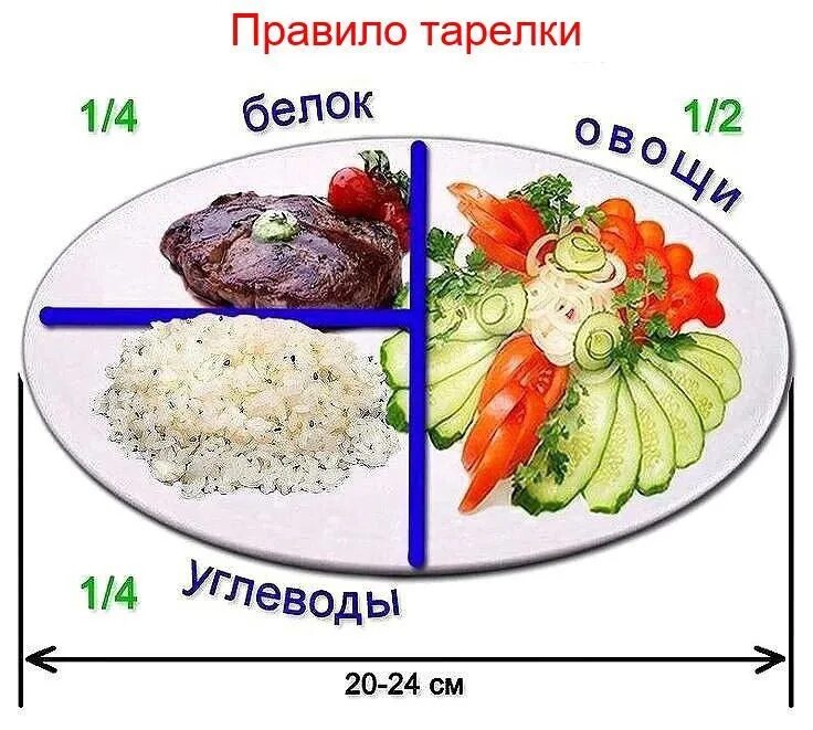 Сколько пищи можно съедать за один прием
