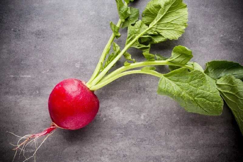 Редис кримсон. Лук укроп редиска. Сорт редиса кайман. Редис репа редька. Редис марго.