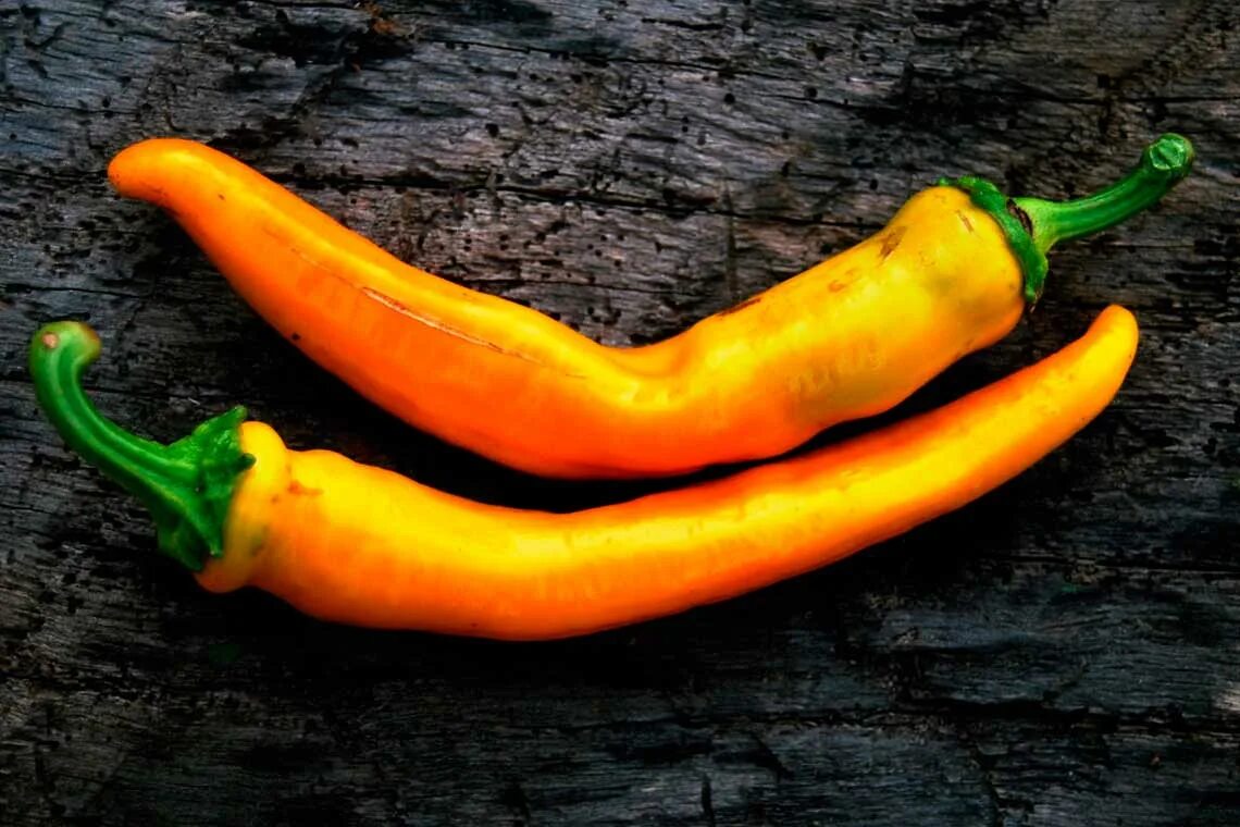 перец цицак характеристика и описание