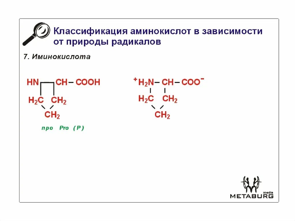 Аминокислотные радикалы