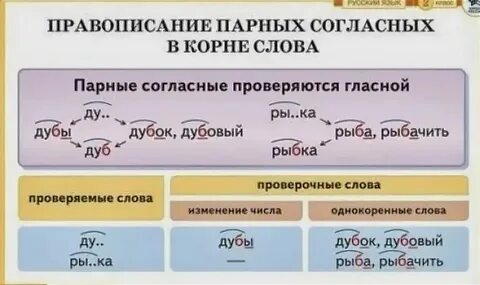 Примеры слов с парными