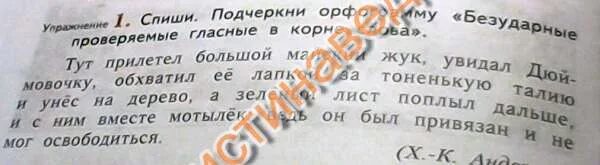 Спишите подчеркните слова с приставкой. Спиши подчеркни. Спиши из упражнения 1 вопрос мамы и ответ Кати. Спиши и подчеркни имена собственные. Спиши из упражнение один вопросы мама и ответы Кати.