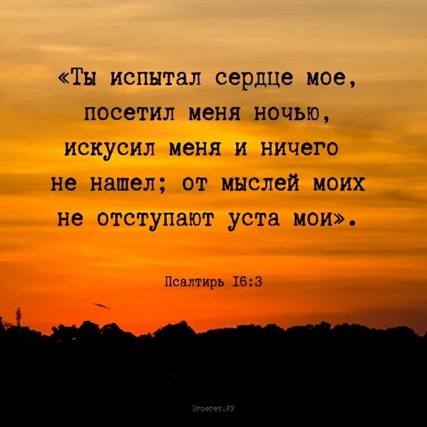 Я ощущаю тебя текст