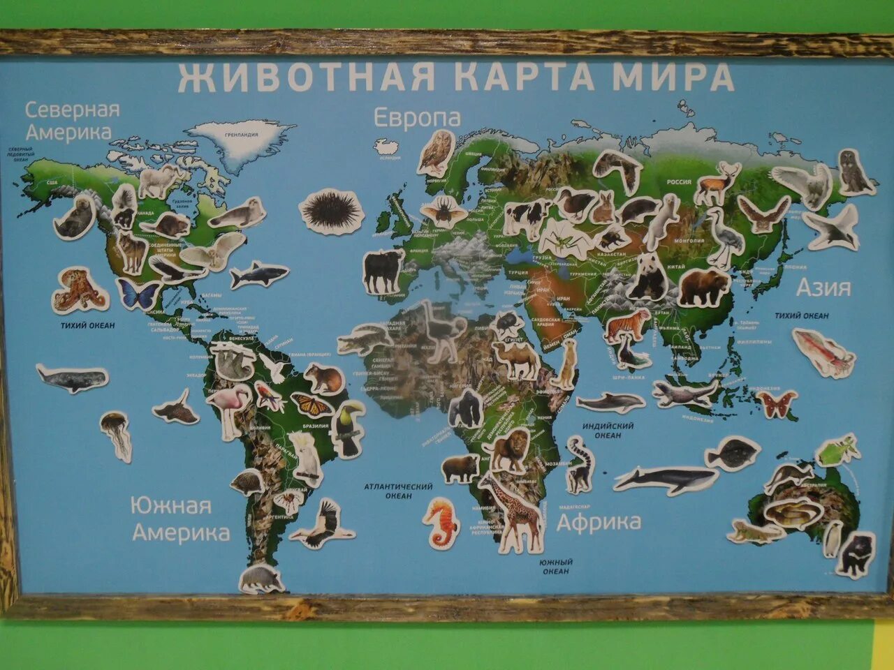 Карта животных. Зоологическая карта. географическая карта животных. мир зверей география для детей.