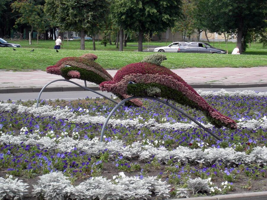 Озеленение орла. Орел город цветов. Орел город цветов. Клумбы в орле. Зеленстрой орел топиарные фигуры.