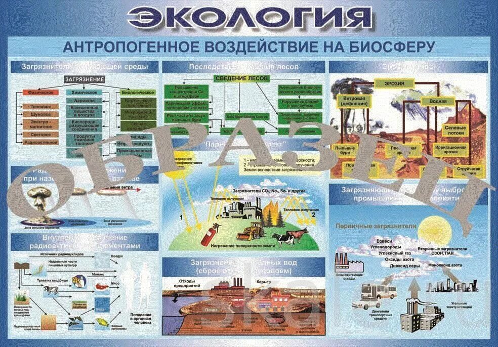 Антропогенное влияние на биосферу. Антропогенное воздействие на биосферу. Антропогенное воздействие на биосферу таблица. Антропогенное влияние человека на биосферу. Влияние человека на биосферу таблица