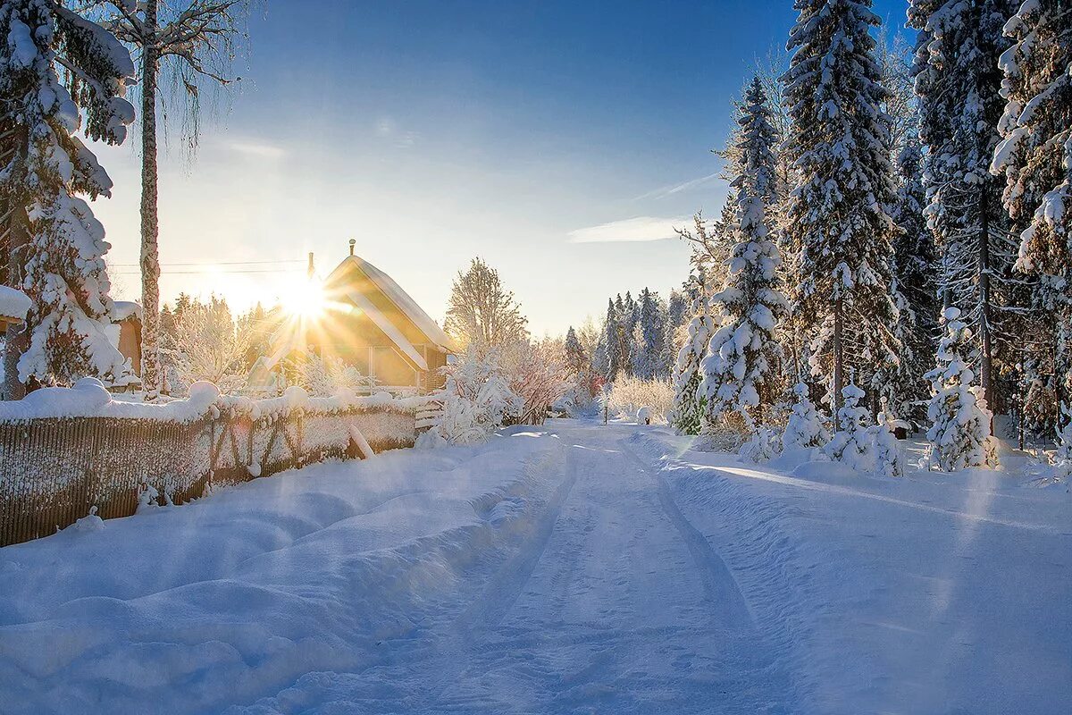 В каких городах россии теплые зимы. Зима в России. Зимняя природа. Зима пейзаж. Русская природа зимой.