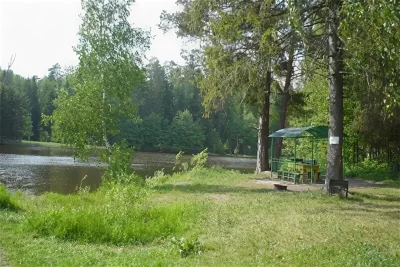 Васильевское-соймоново. Байденка. Садовая 7 серпухов. Байденка. Байденка.