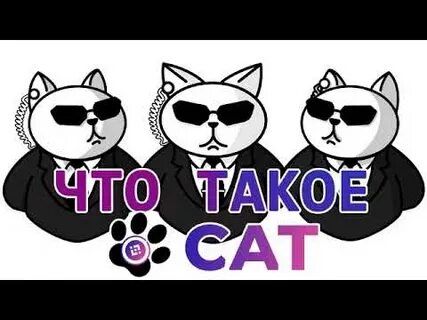 Что такое кат в школе