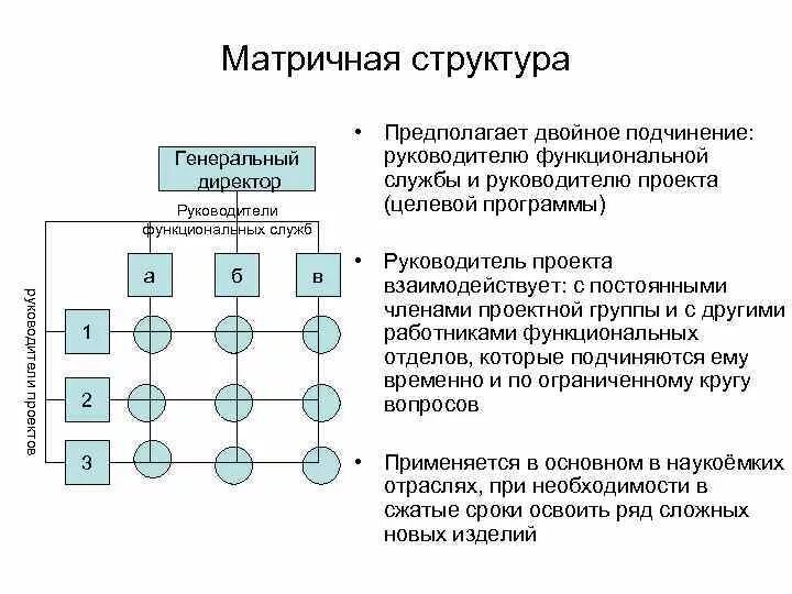 Матричная структура управления схема. Матричный Тип организационной структуры. Матричная организационная структура управления схема. Линейно матричная организационная структура. Линейный уровень управления