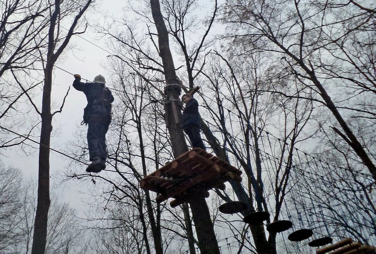 Залезть на дерево с помощью. Залезть на дерево. влезть на дерево. парк динамо воронеж веревочный городок. лезет на дерево.