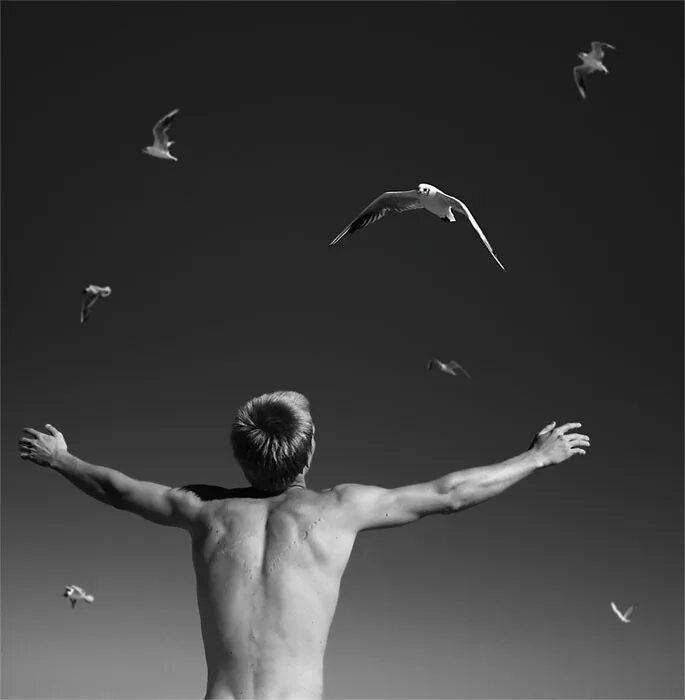 Свободен как ветер. Свобода души. Птица свободы. Свобода человека. Человек птица в полете.