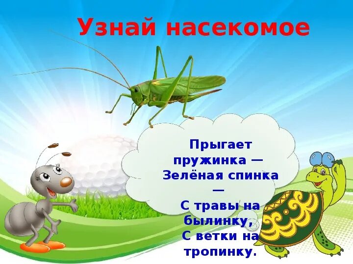 Кто такие насекомые 1. Кто такие насекомые 1
