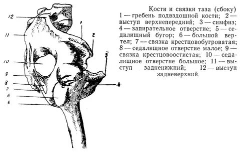 Малая связка