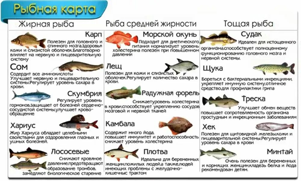 Кровь рыб в питании. Нежирная морская рыба для диеты список. Нежирные сорта рыбы перечень. Жирные сорта рыбы список для диеты. Нежирные сорта рыбы для диеты.