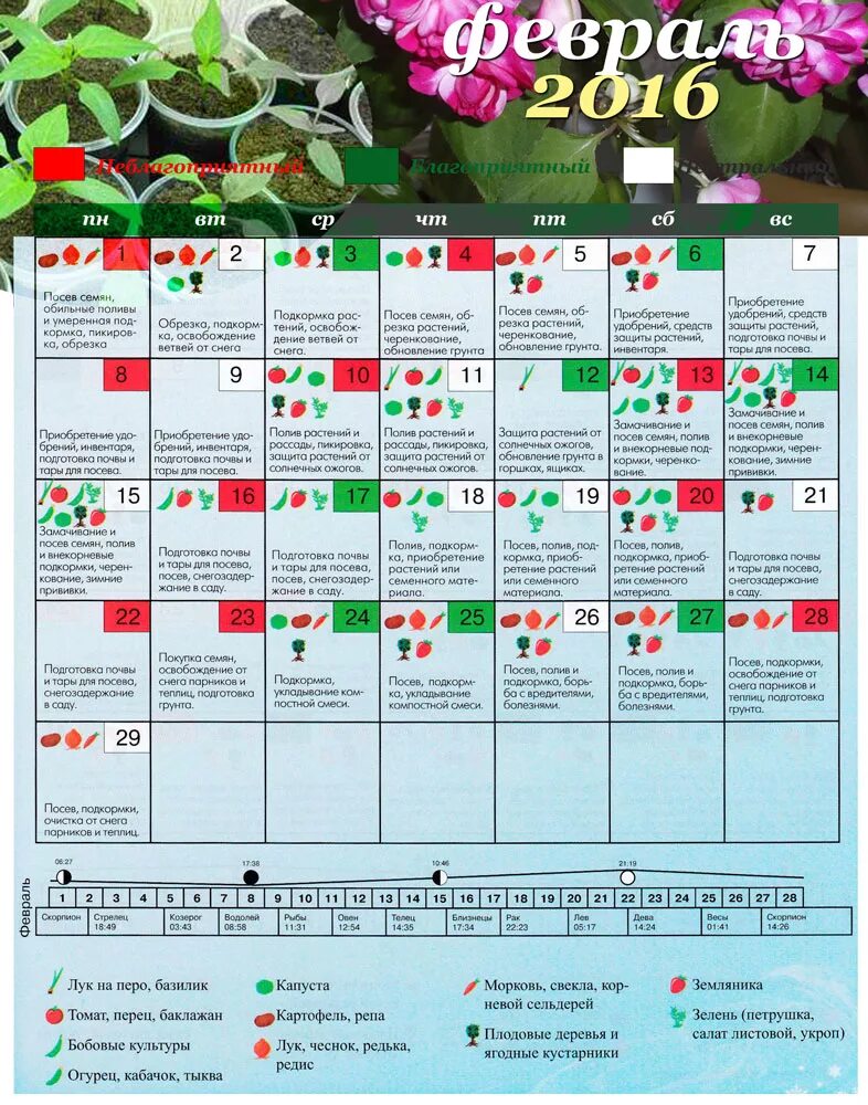 26 февраля какой лунный день. Посадо,ные дни в феврале. Посадочные дни в феврале. Дни февраля для посадки семян. Посевной календарь на февраль.