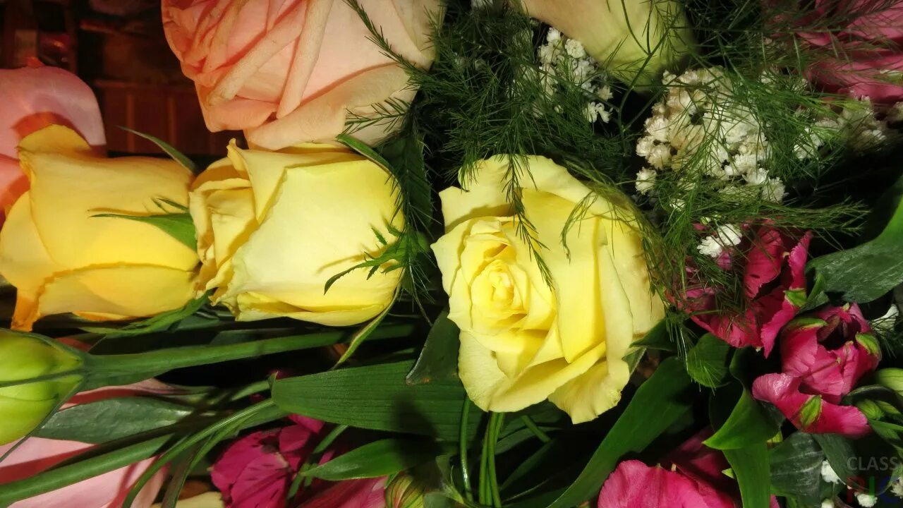 Красивый букет. Букет цветов для девушки. Шикарный букет цветов. Красивый букет роз. Фото букета на телефон