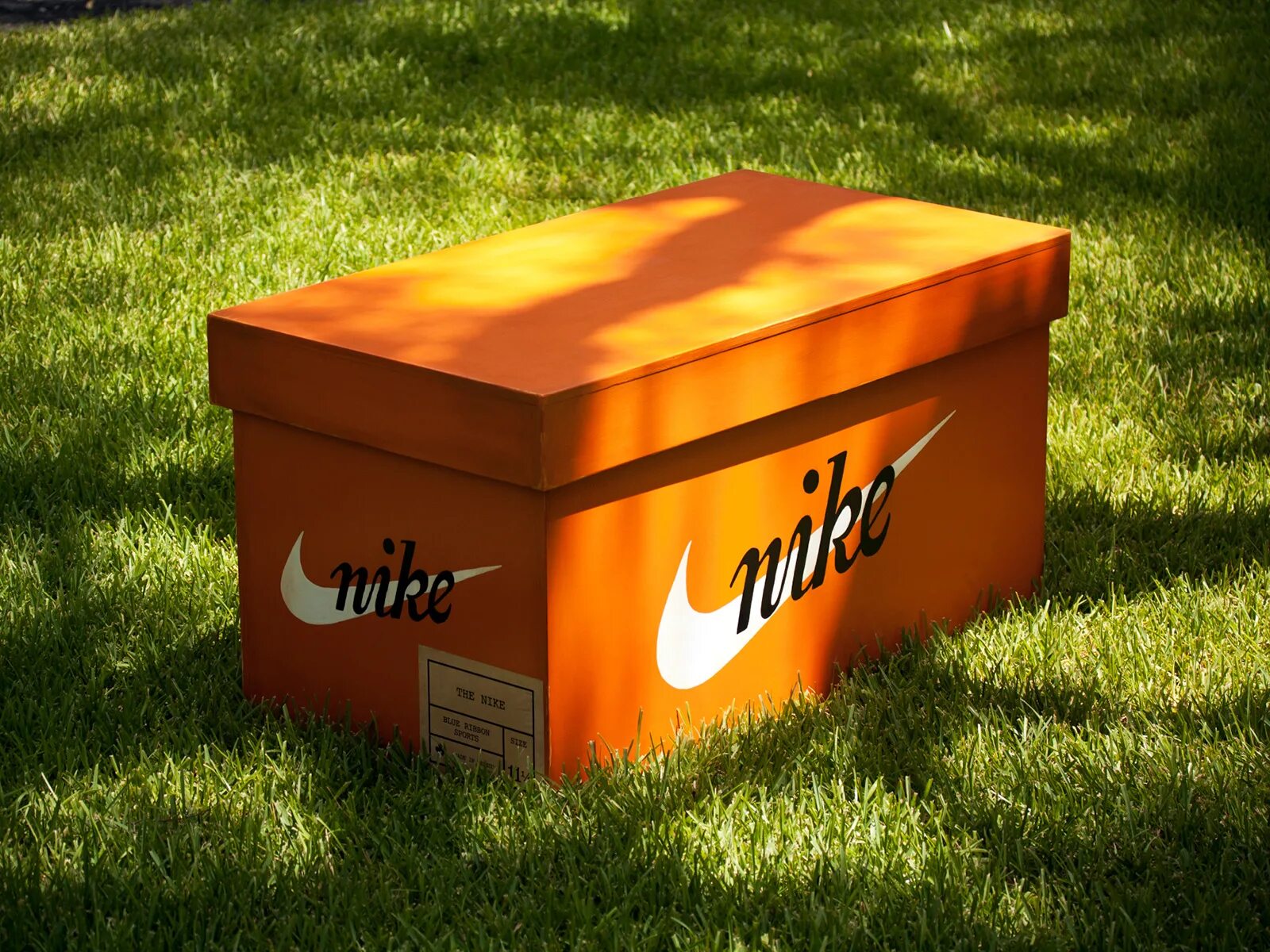 Найк бокс. Nike Shoe Box. Nike Shoebox. Nike Shoes Box Original. Nike coolab Shoe Box.