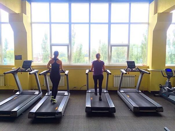 Fitness house казань спартаковская. Фитнес клуб сафари липецк фитнес тренер. Спортклуб сафари рубцовск. Сафари фитнес дети. Сафари фитнес барнаул.