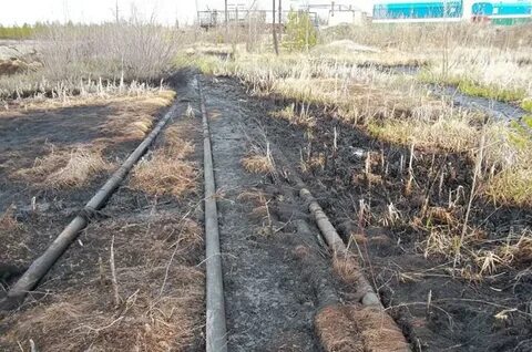 Экспертиза рекультивации земли