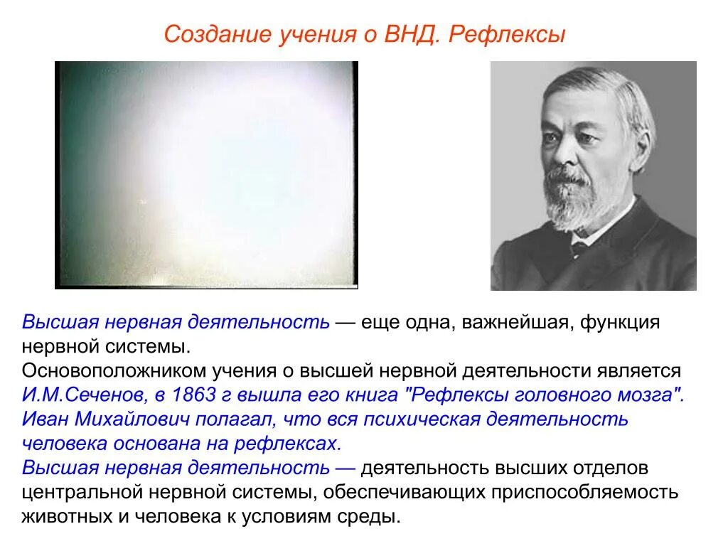 Термин высшая нервная деятельность предложил. Сеченов Павлов основоположники учения о высшей нервной деятельности. Учение Сеченова и Павлова о высшей нервной деятельности. Высшая и Низшая нервная деятельность и.м.Сеченов и.п.Павлов. Основоположник учения о ВНД.